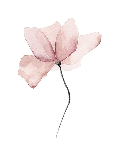 Pink Flower No1