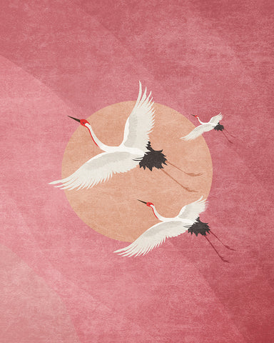Flying Cranes, Pink Sky And Sun
