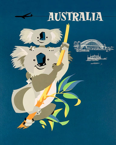 Koalas in Australia