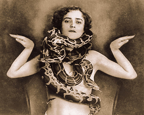 Snake Charmer
