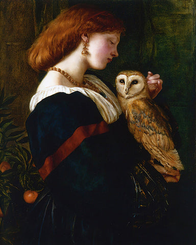 Valentine Cameron Prinsep - The Owl