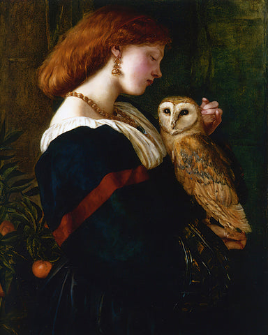 Valentine Cameron Prinsep - The Owl