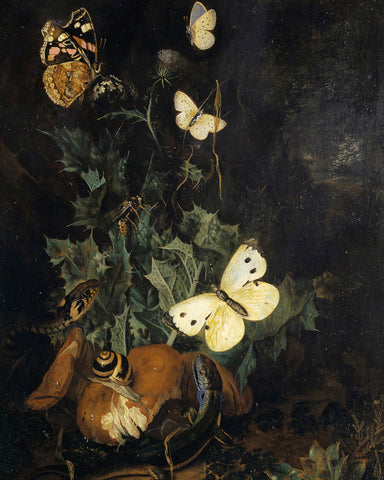 Still Life with Butterflies, Lizard and Snake