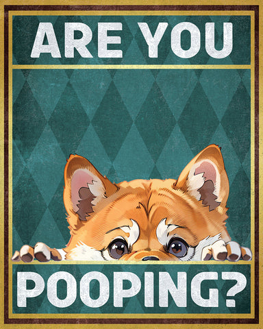 Are You Pooping No1