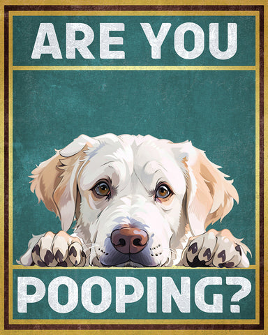 Are You Pooping No6