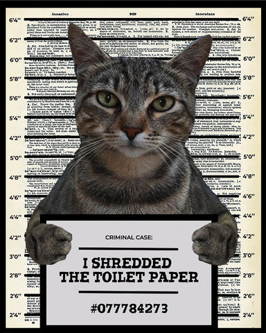 I Shredded The Toilet Paper No1