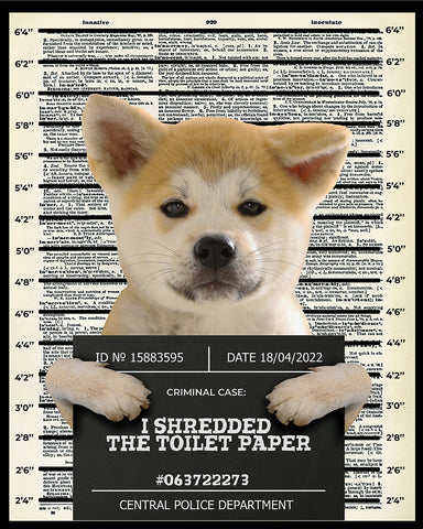 I Shredded The Toilet Paper No2