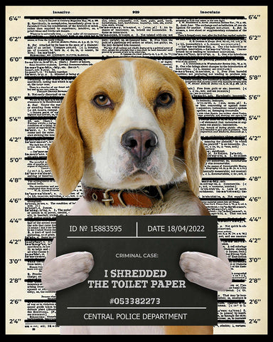 I Shredded The Toilet Paper No4