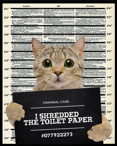 I Shredded The Toilet Paper No5