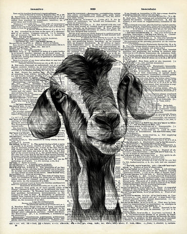 Goat Portrait