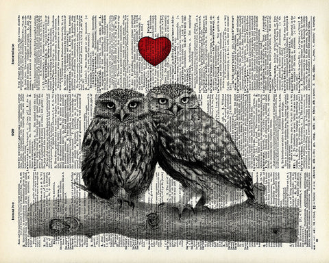 Owl Couple