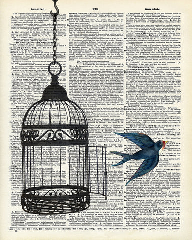 Swallow Flying Out of Cage