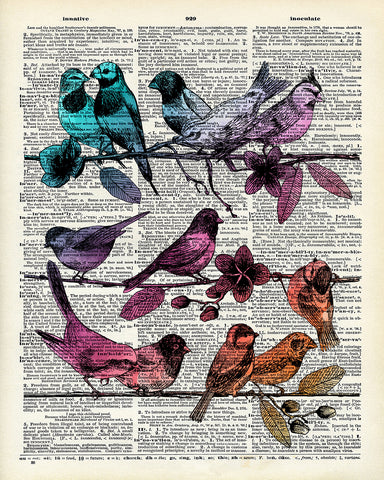 Hummingbirds on Branches