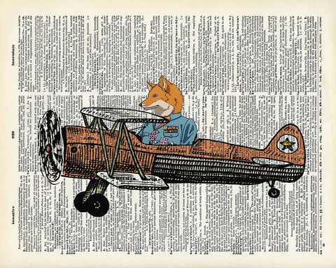 Fox Pilot