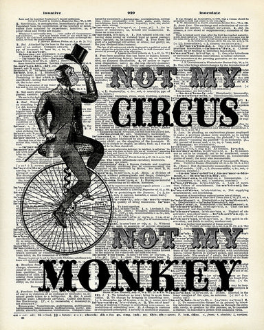Not My Circus Not My Monkey No2