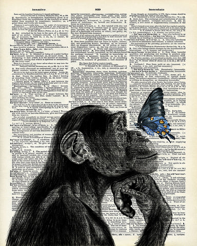 Monkey and Butterfly