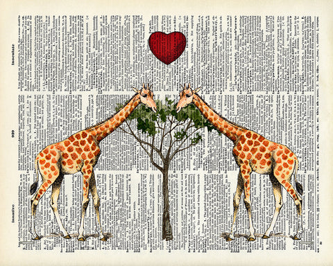 Giraffe Couple