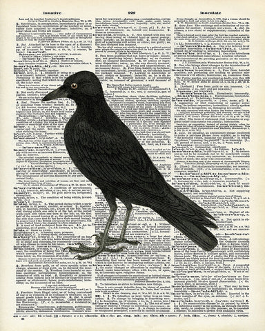Raven
