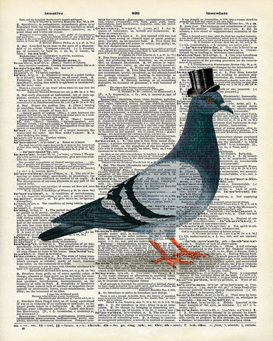 Pigeon in a Top Hat