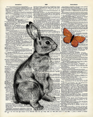 Rabbit and Butterfly
