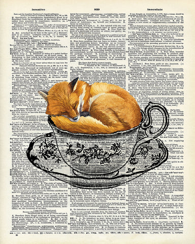 Sleeping Fox in Teacup