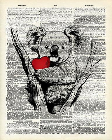 Koala Bear No1
