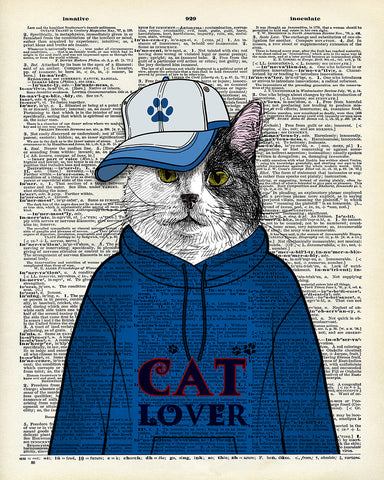 Cat in Hoodie No1