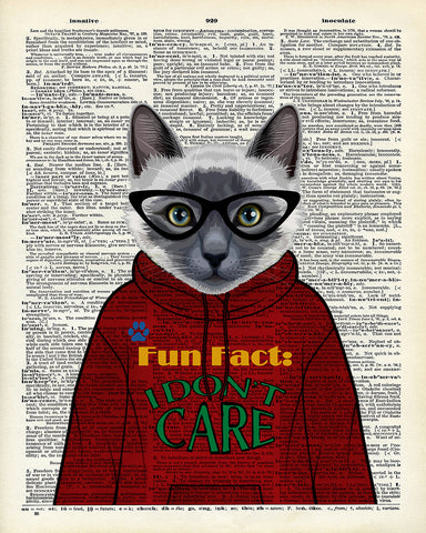 Cat in Hoodie No2