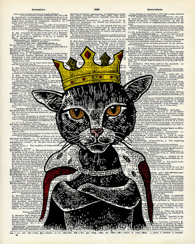 King Cat No2