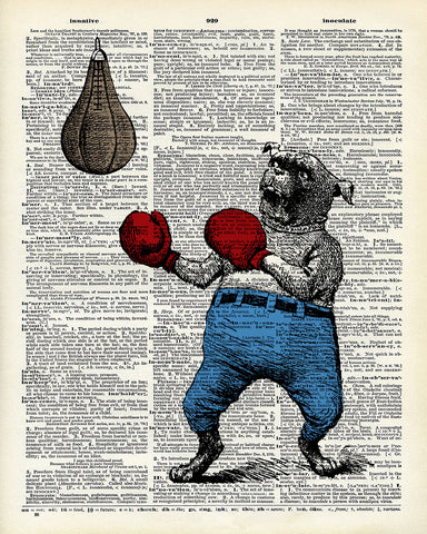Bulldog Boxer