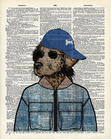 Hipster Labrador