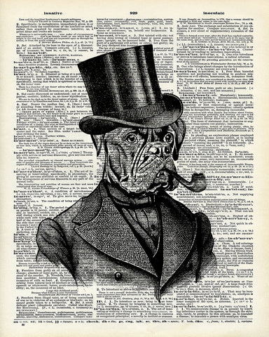 Gentleman Bulldog