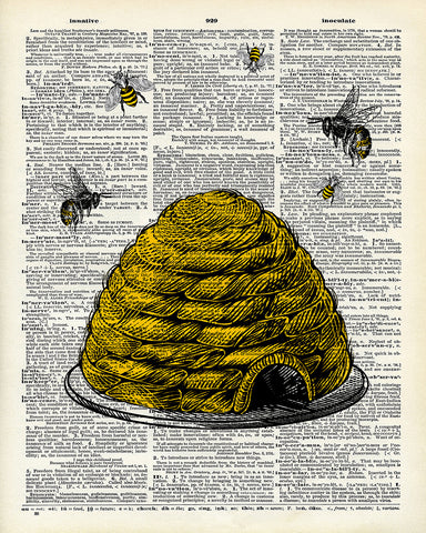 Bee's Nest