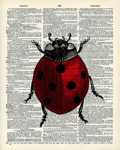 Ladybug