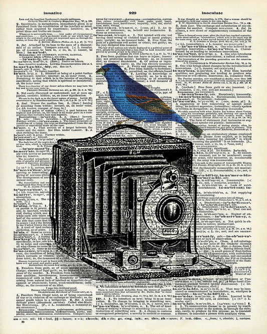 Unframed
