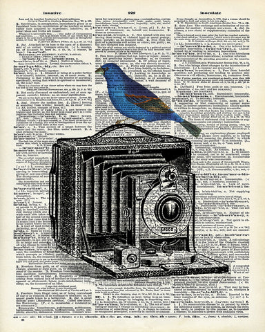 Bird on Antique Camera