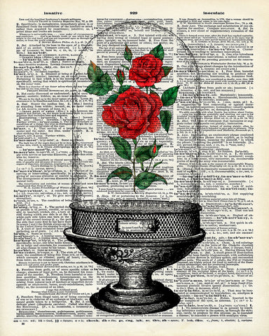 Enchanted Rose Dome