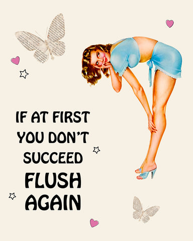 If At First You Don't Succeed Flush Again No1