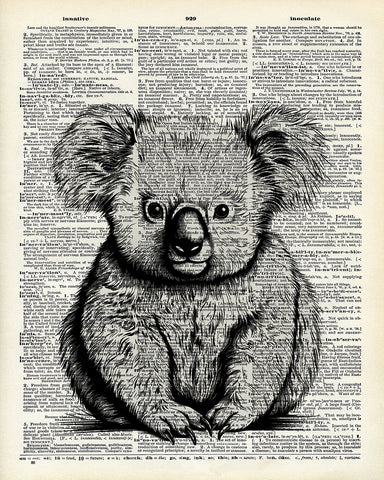 Koala Bear No2