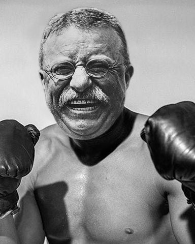 Theodore Roosevelt Boxing