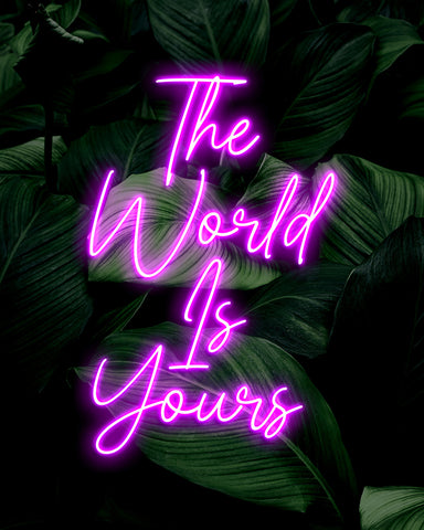 The World Is Yours