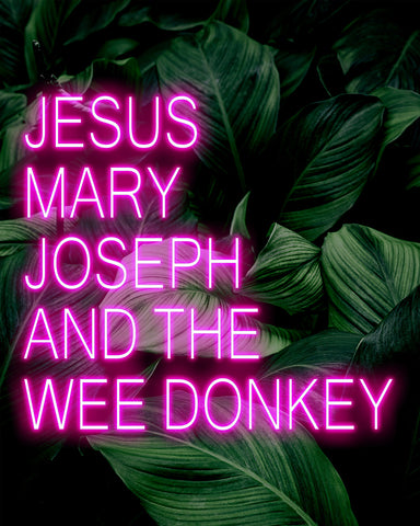 Jesus Mary Joseph and The Wee Donkey Poster