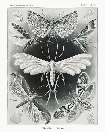 Unframed