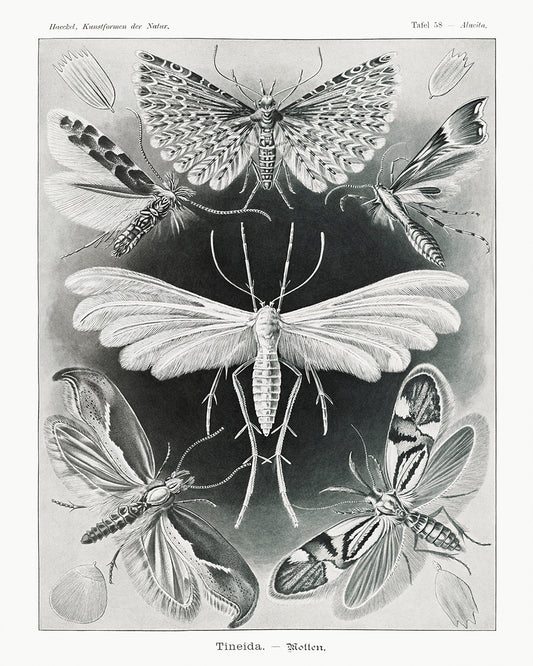 Unframed
