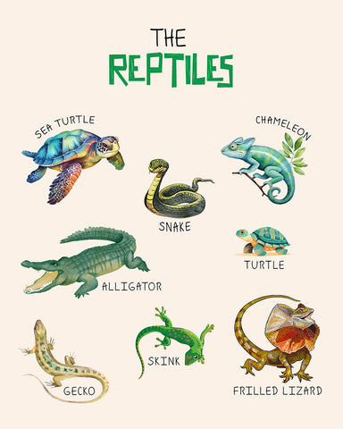 The Reptiles