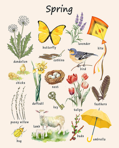 Spring