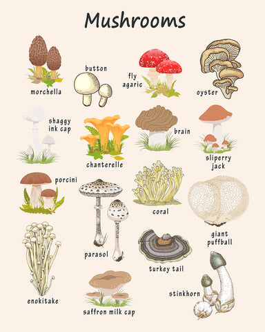Mushrooms