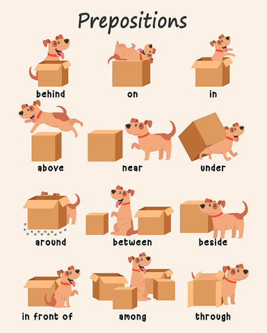 Prepositions