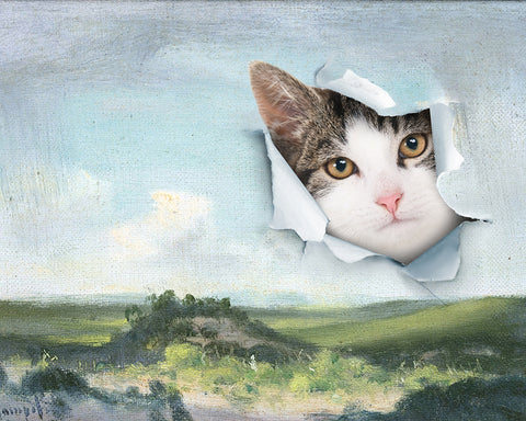 Popping Cat No1