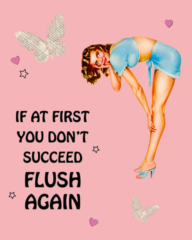 If At First You Don't Succeed Flush Again No2